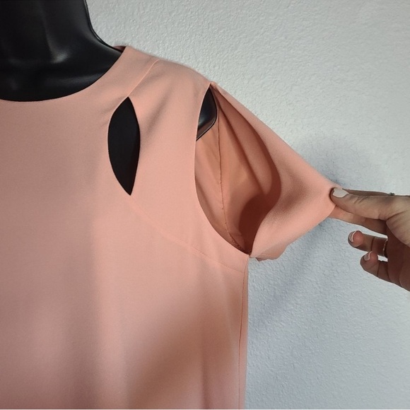 BCBGMaxAzria Blush Pink Mini Dress - Picture 3 of 9